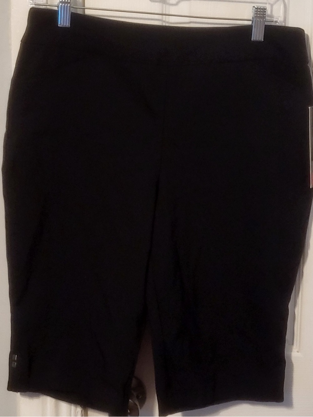 NWT Briggs New York Petite Black Skirt